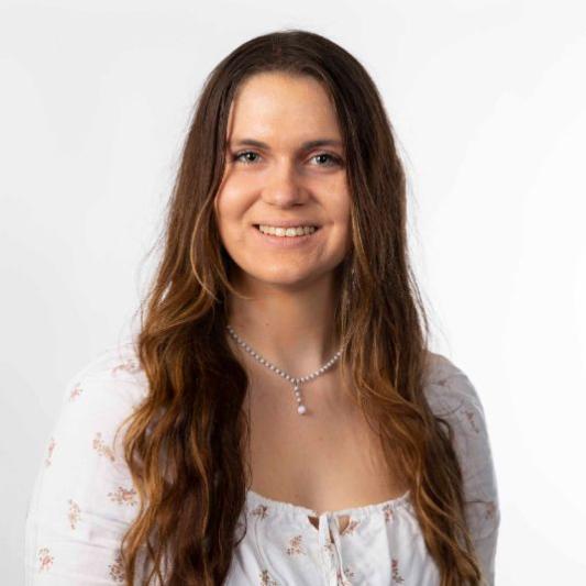 Trustee Scholarship University